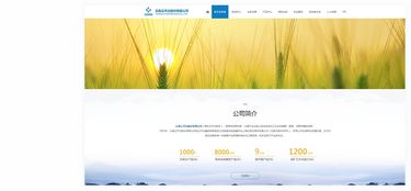 昆明奧遠科技 云天化股份的數字化伙伴，一站式網絡服務解決方案提供商
